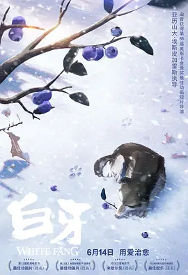 欧美综合激情