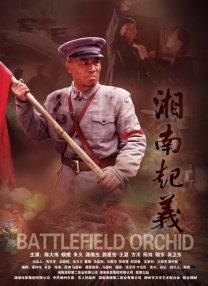 张柏芝陈冠希的性视频