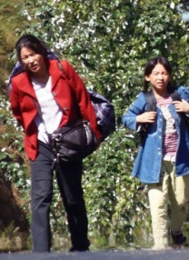 丁香六月综合