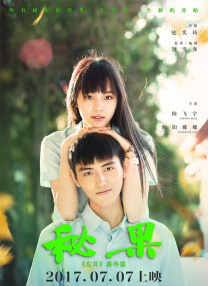 成人a视频在线观看