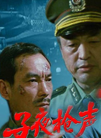 国产成a人亚洲精v品久久网